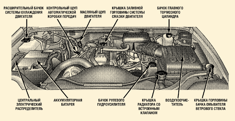 Схема моторного отсека